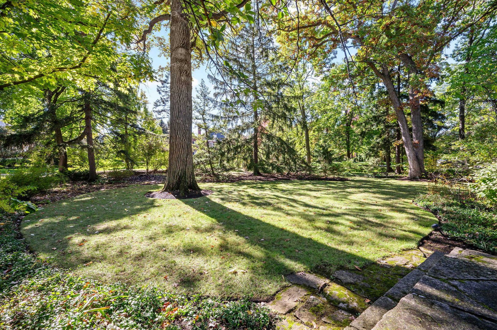 215 Prospect Avenue