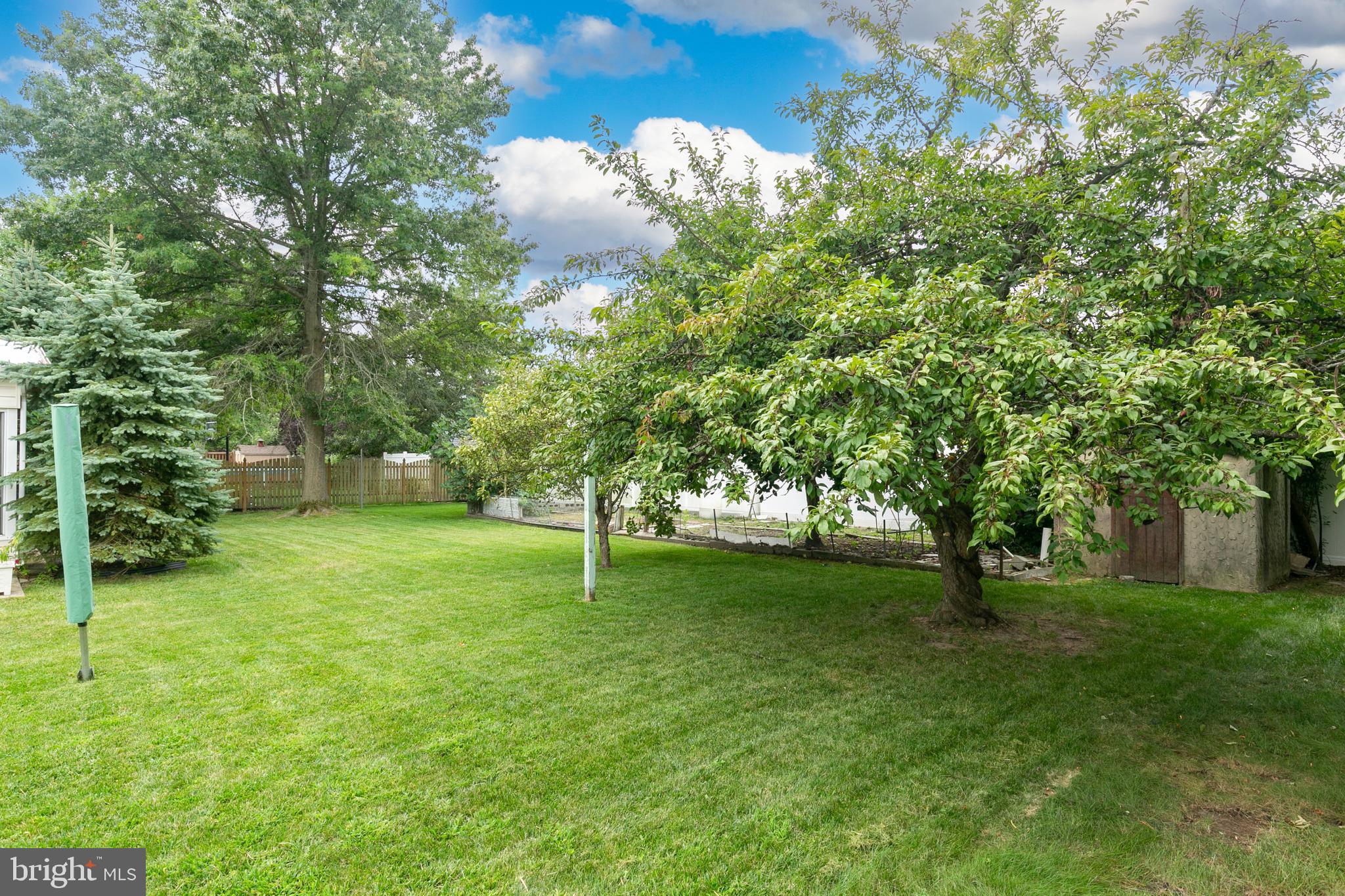123 Meadow LANE