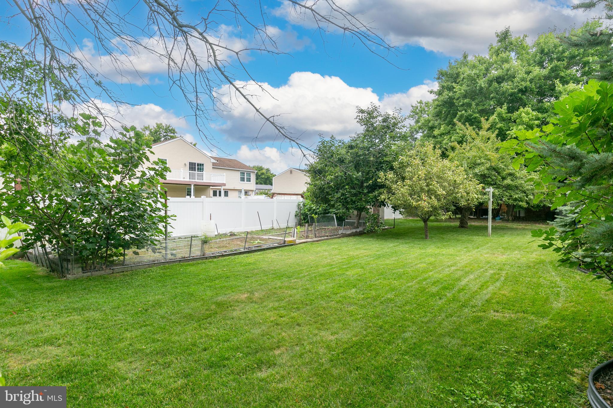 123 Meadow LANE