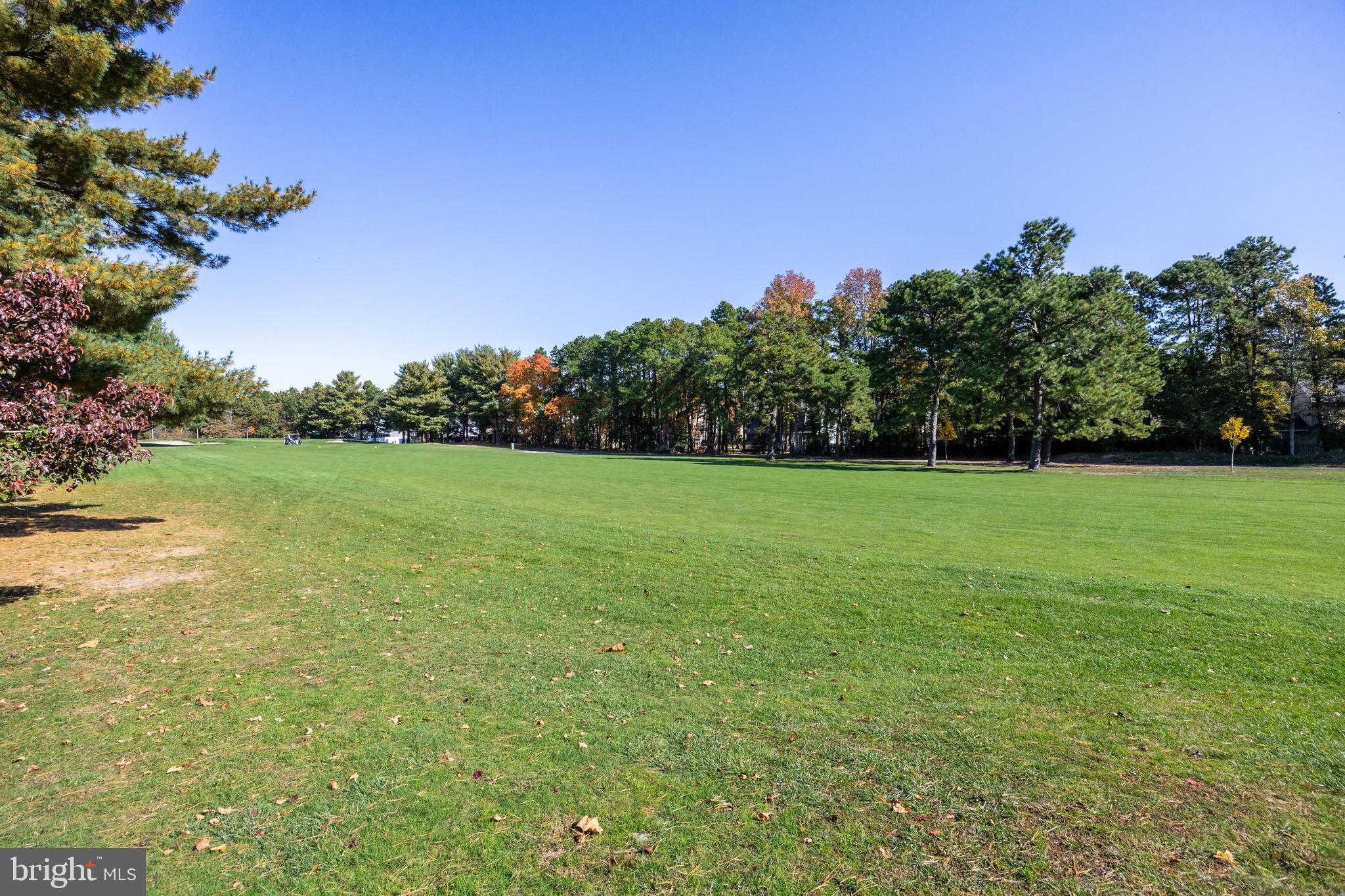 4 Whitemarsh COURT