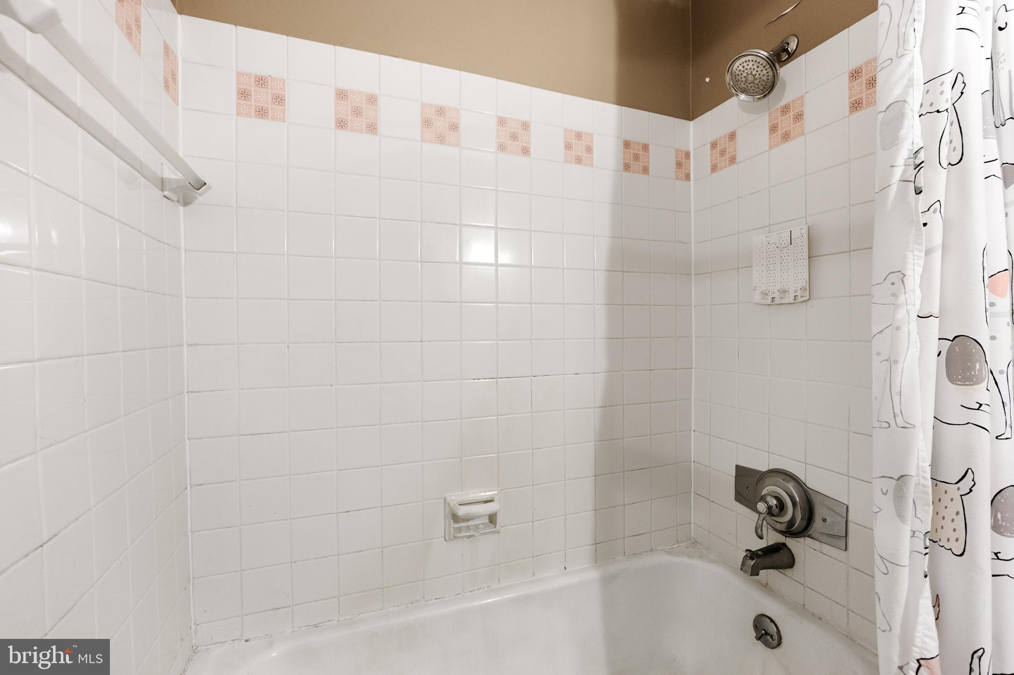 246 Elbo Ln