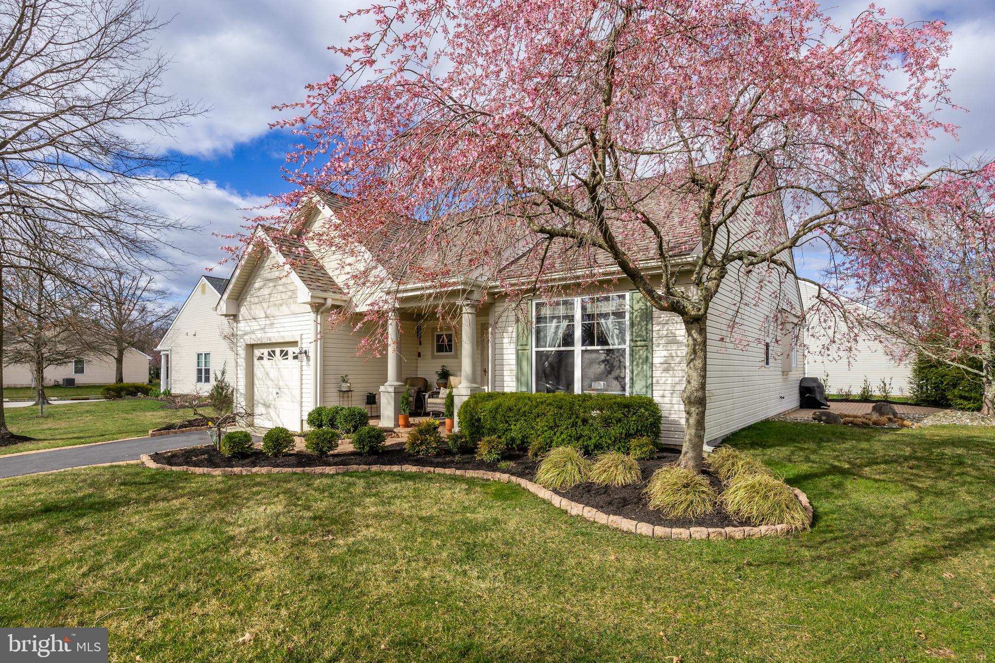 20 Tulip Ct