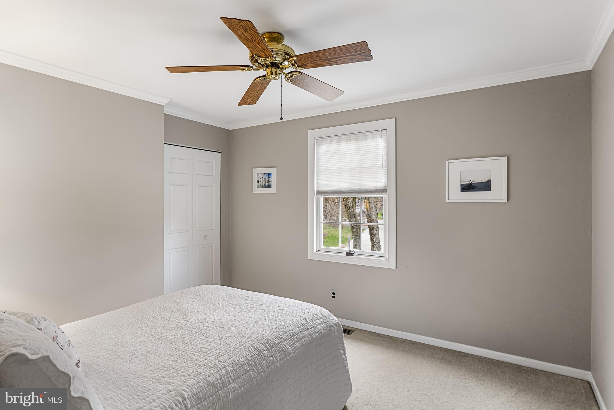 20 Essex Ct