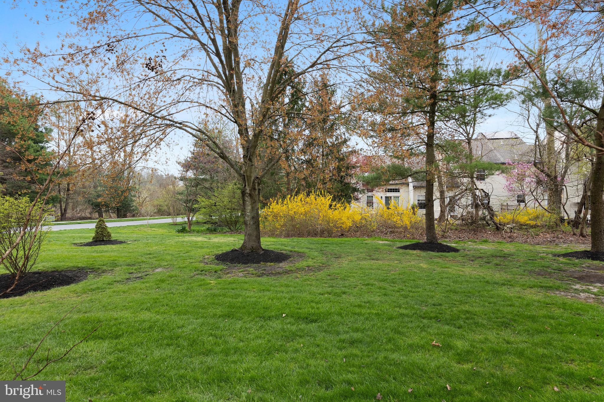 2 Dorset Dr