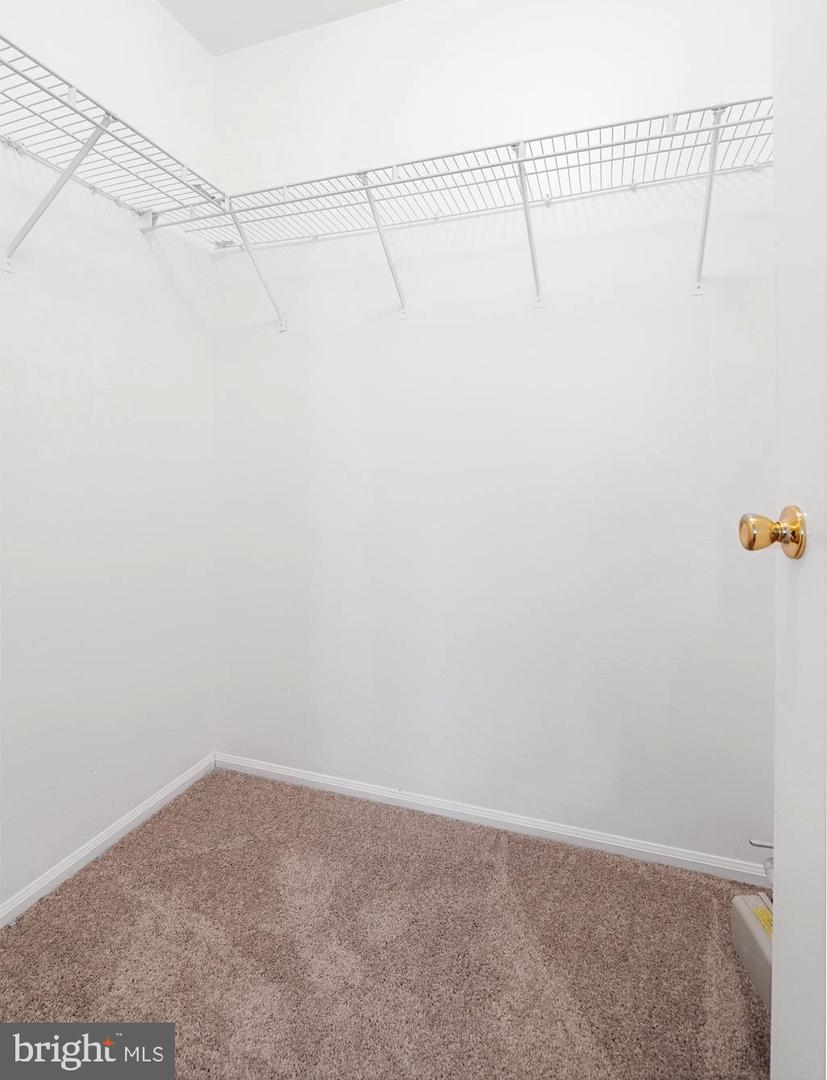 905 Rabbit Run Rd