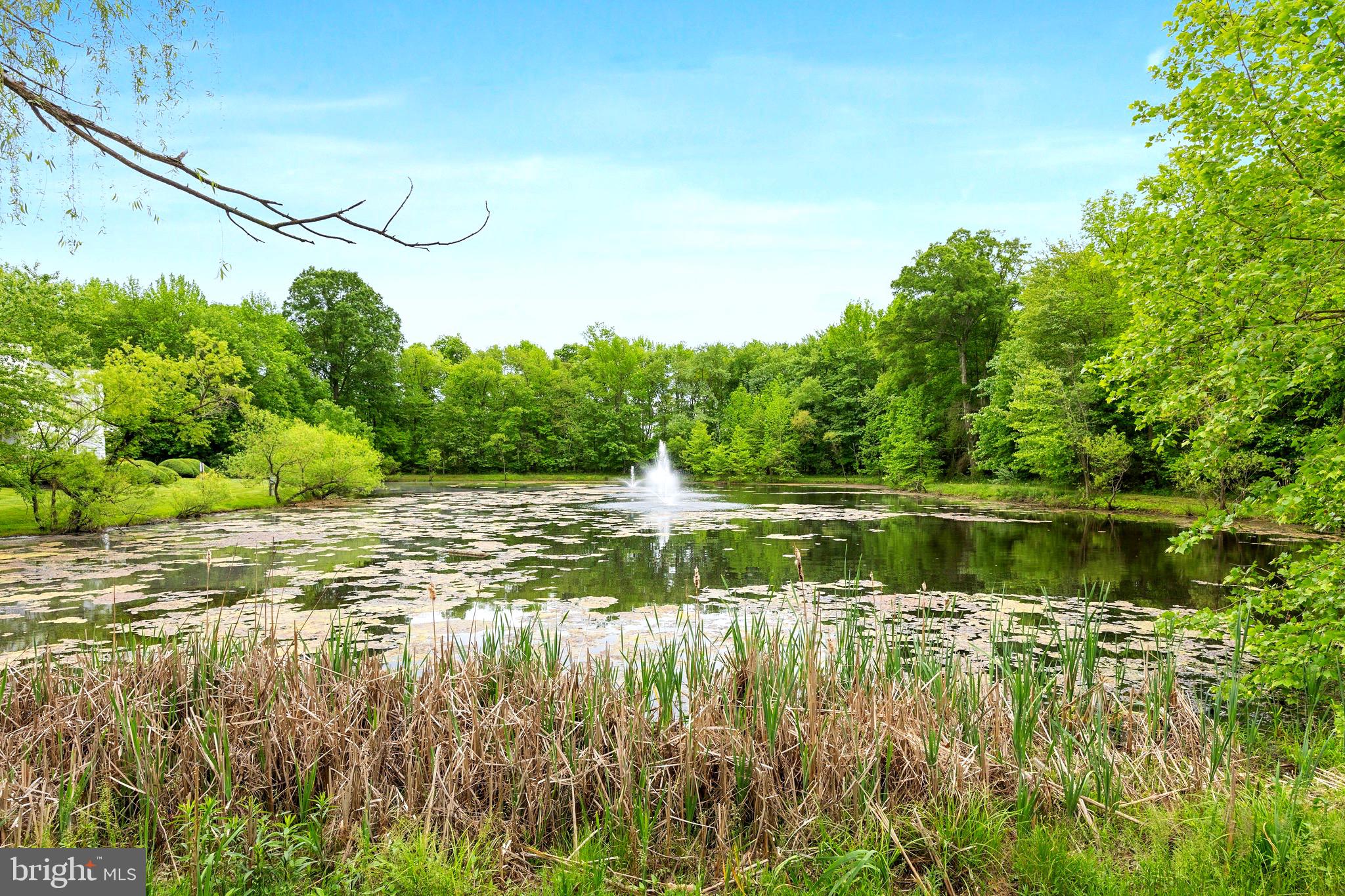 905 Rabbit Run Rd