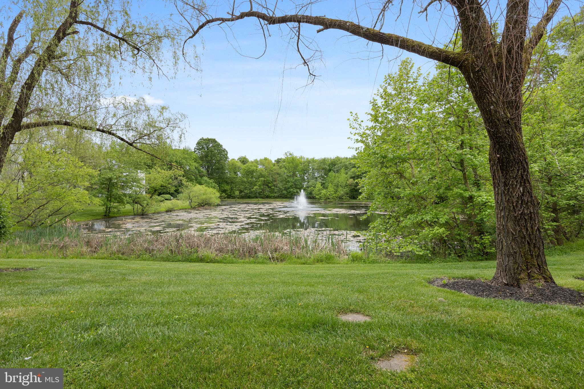 905 Rabbit Run Rd