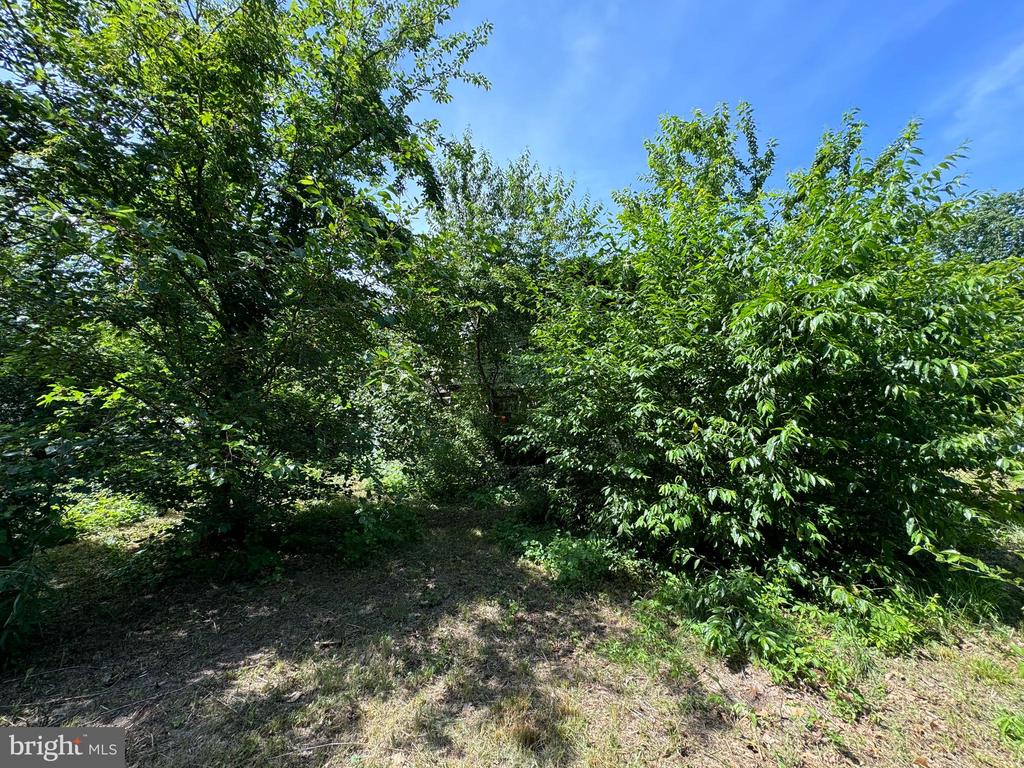 402 LOUISIANA TRAIL