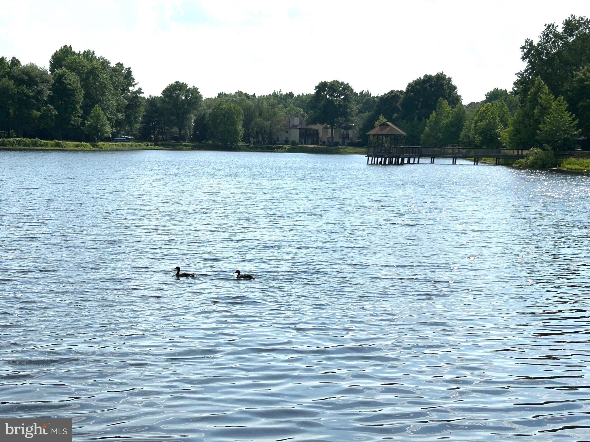 38 Bridgewater Dr