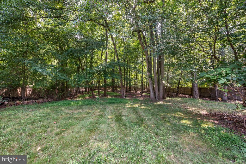 57 GEORGIA TRAIL