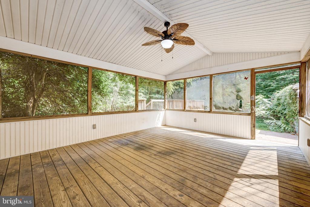 57 GEORGIA TRAIL
