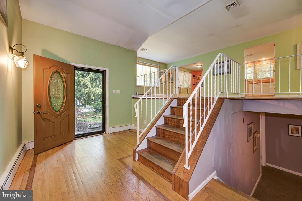 57 GEORGIA TRAIL