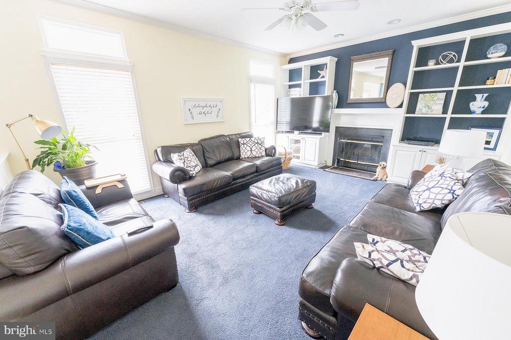 15 CANIDAE STREET