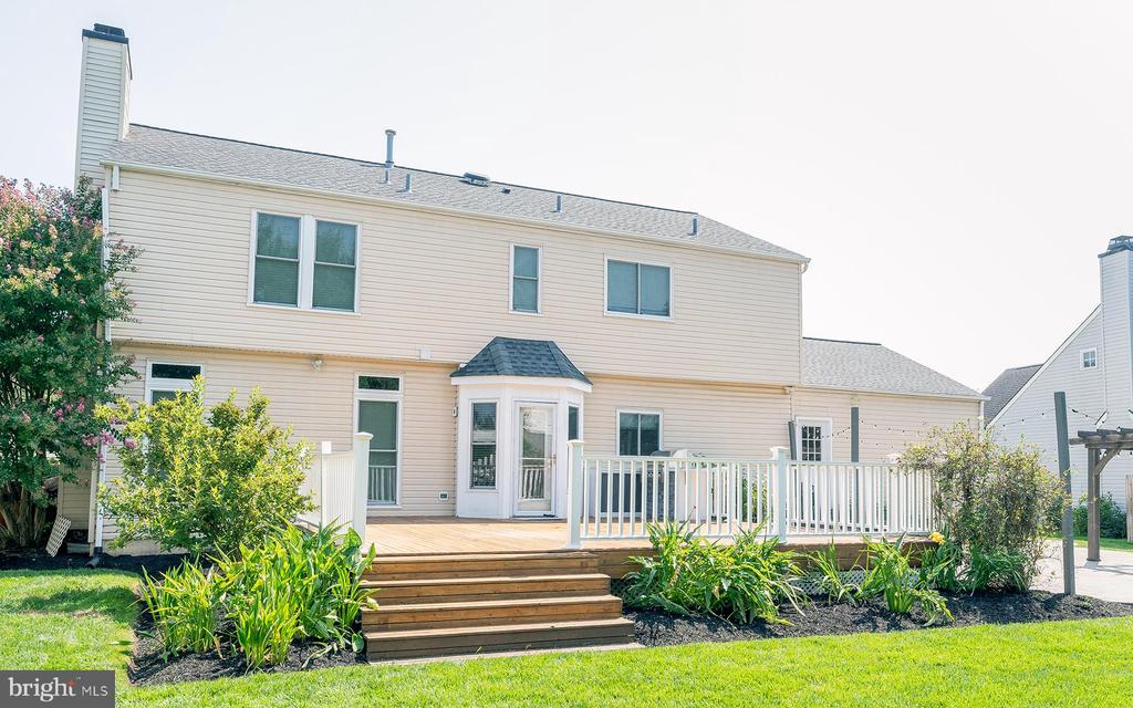 15 CANIDAE STREET