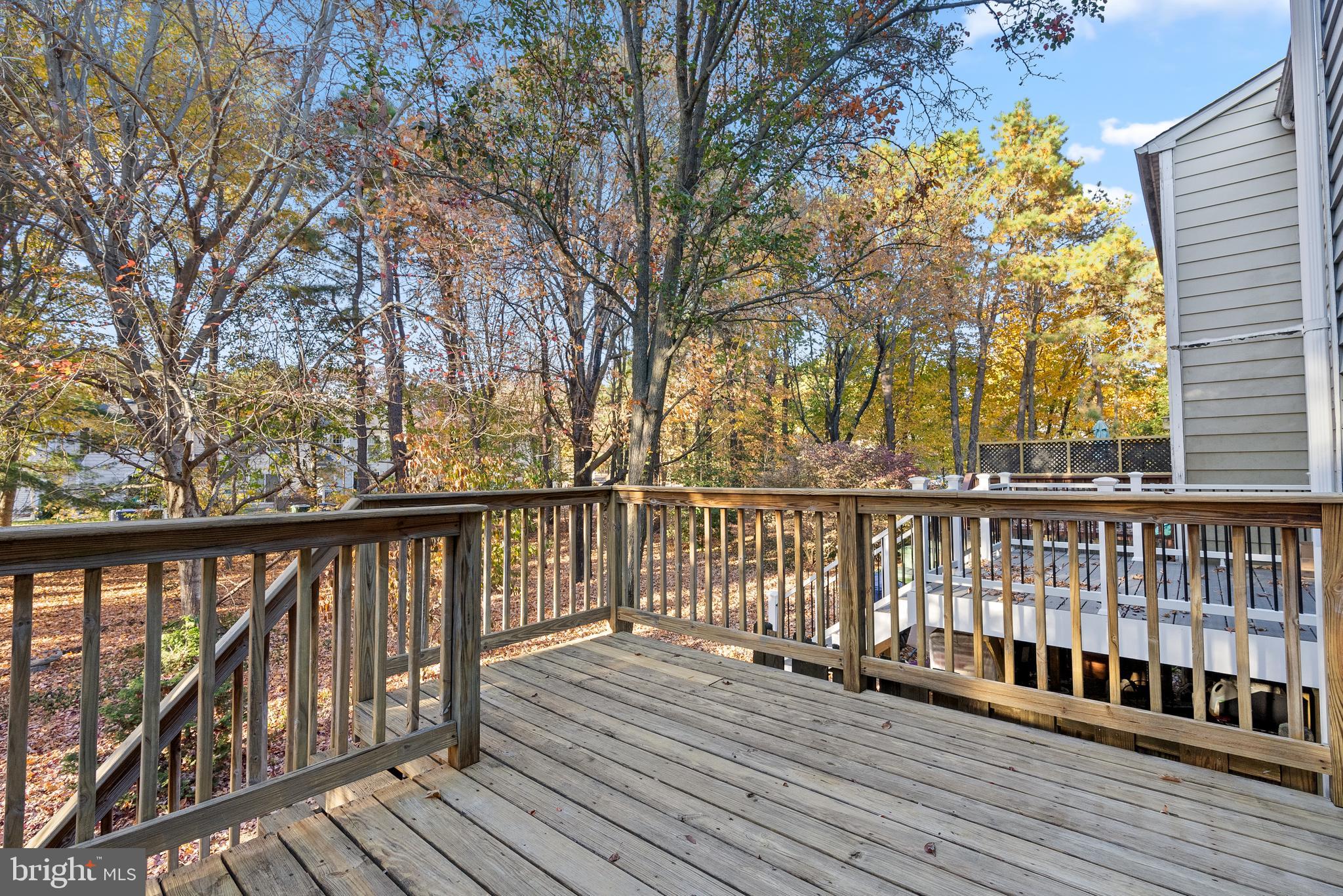 67 Dorchester Cir