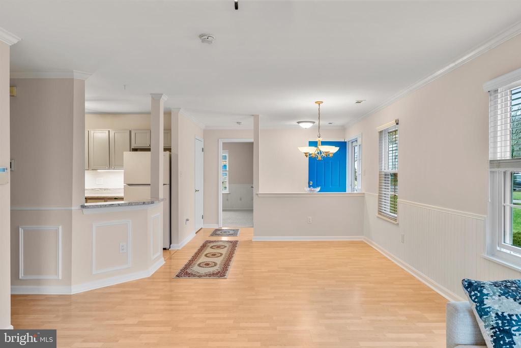 1003 Squirrel Rd