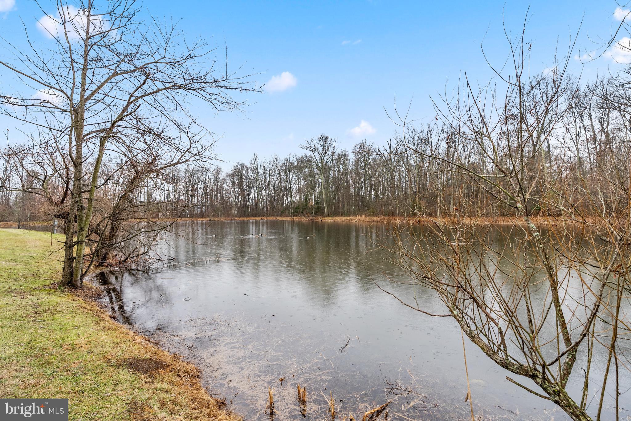 1003 Squirrel Rd