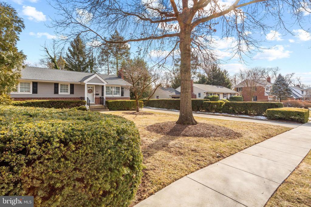 602 WINDSOR PLACE