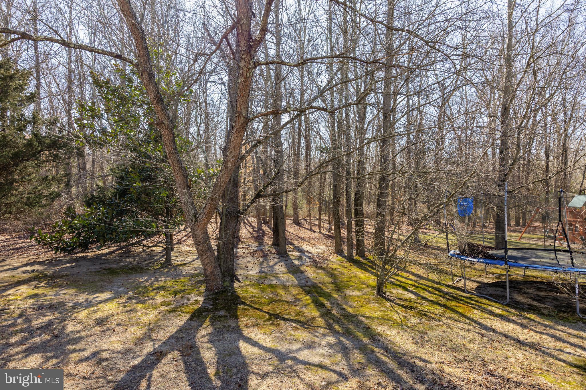 21 Old Republic Ln