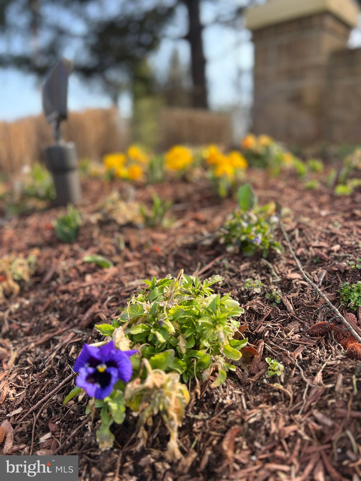 2405 YARMOUTH LANE A