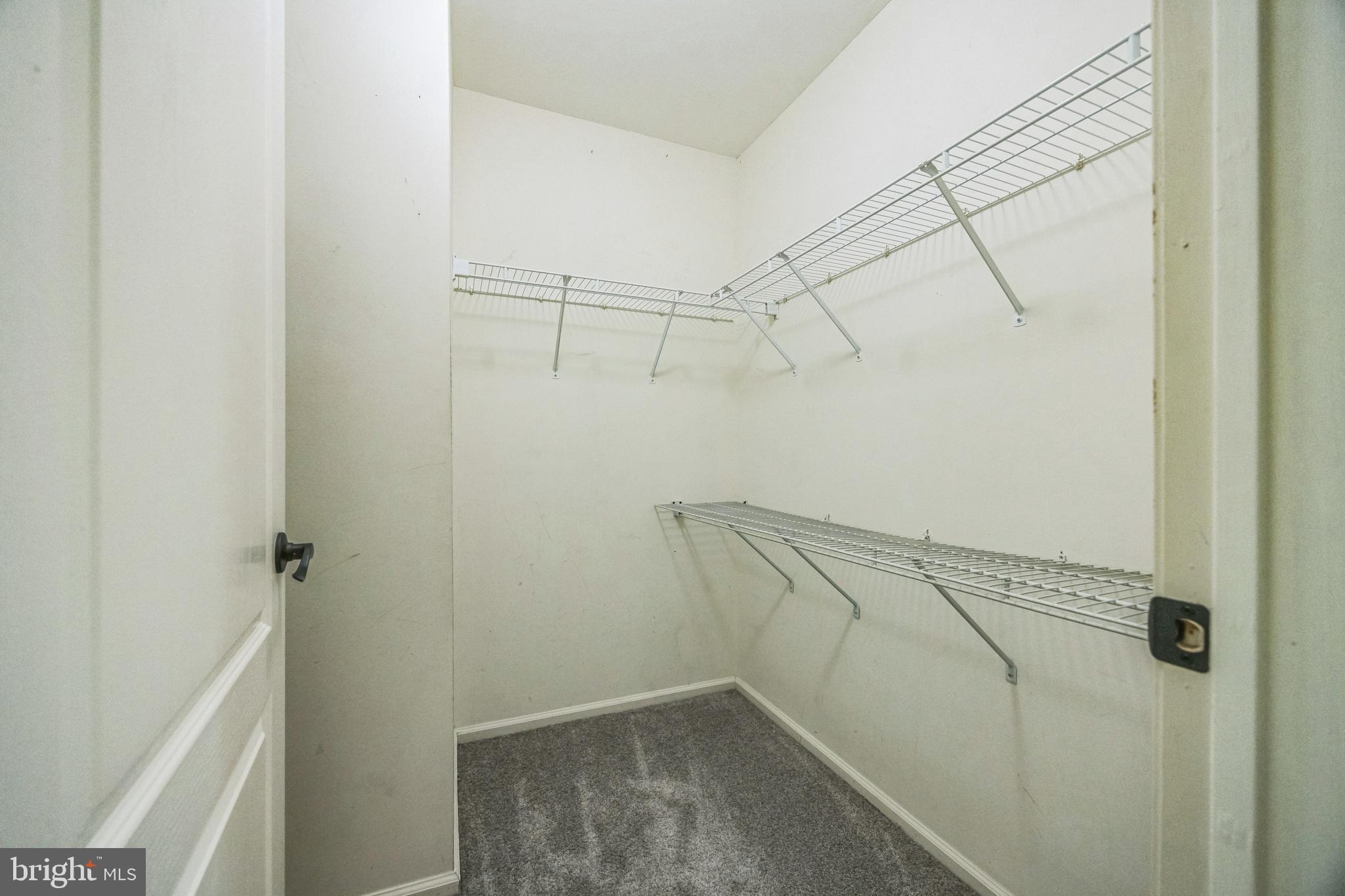 46 STERN LIGHT DRIVE