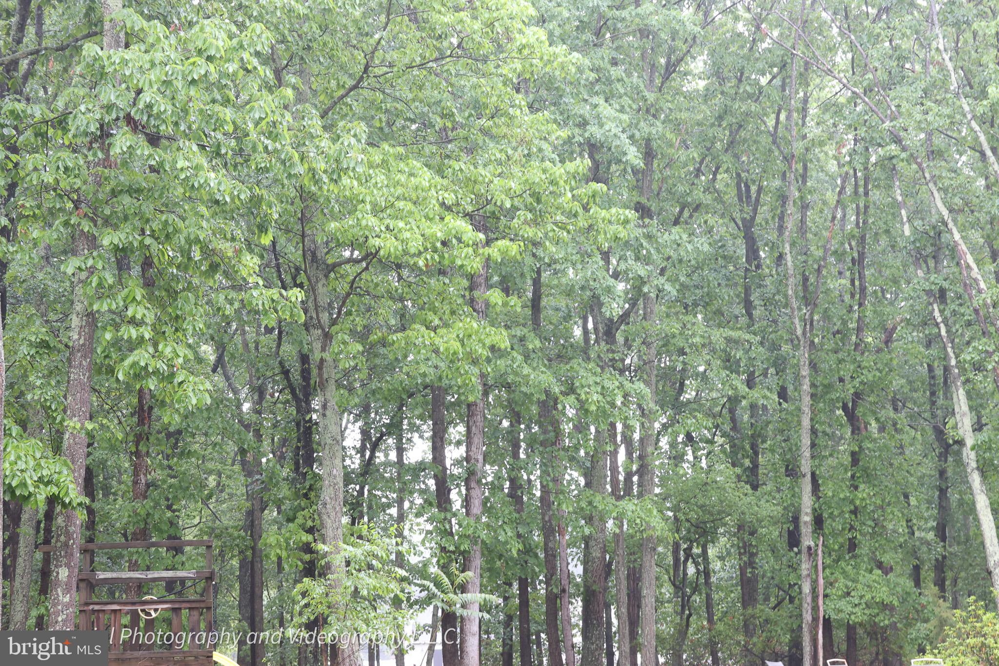 26 WOODSIDE DRIVE