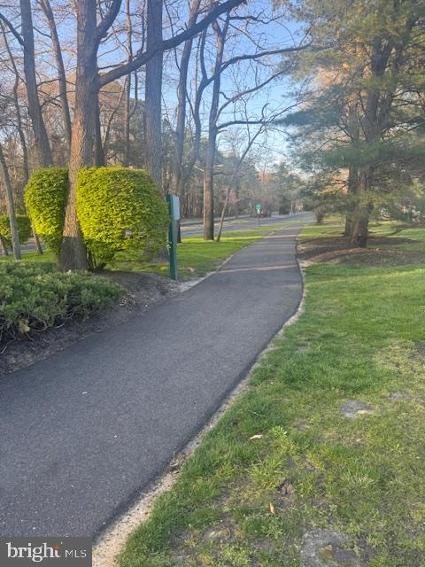 335 WOODLAKE DRIVE 335