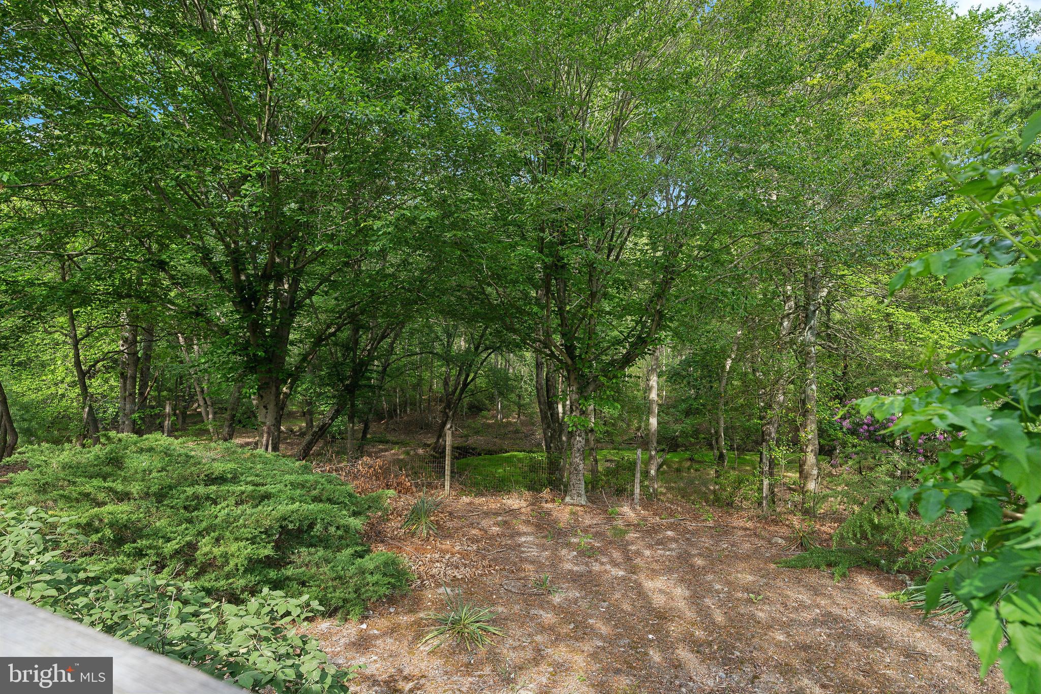 305 Hopewell Rd