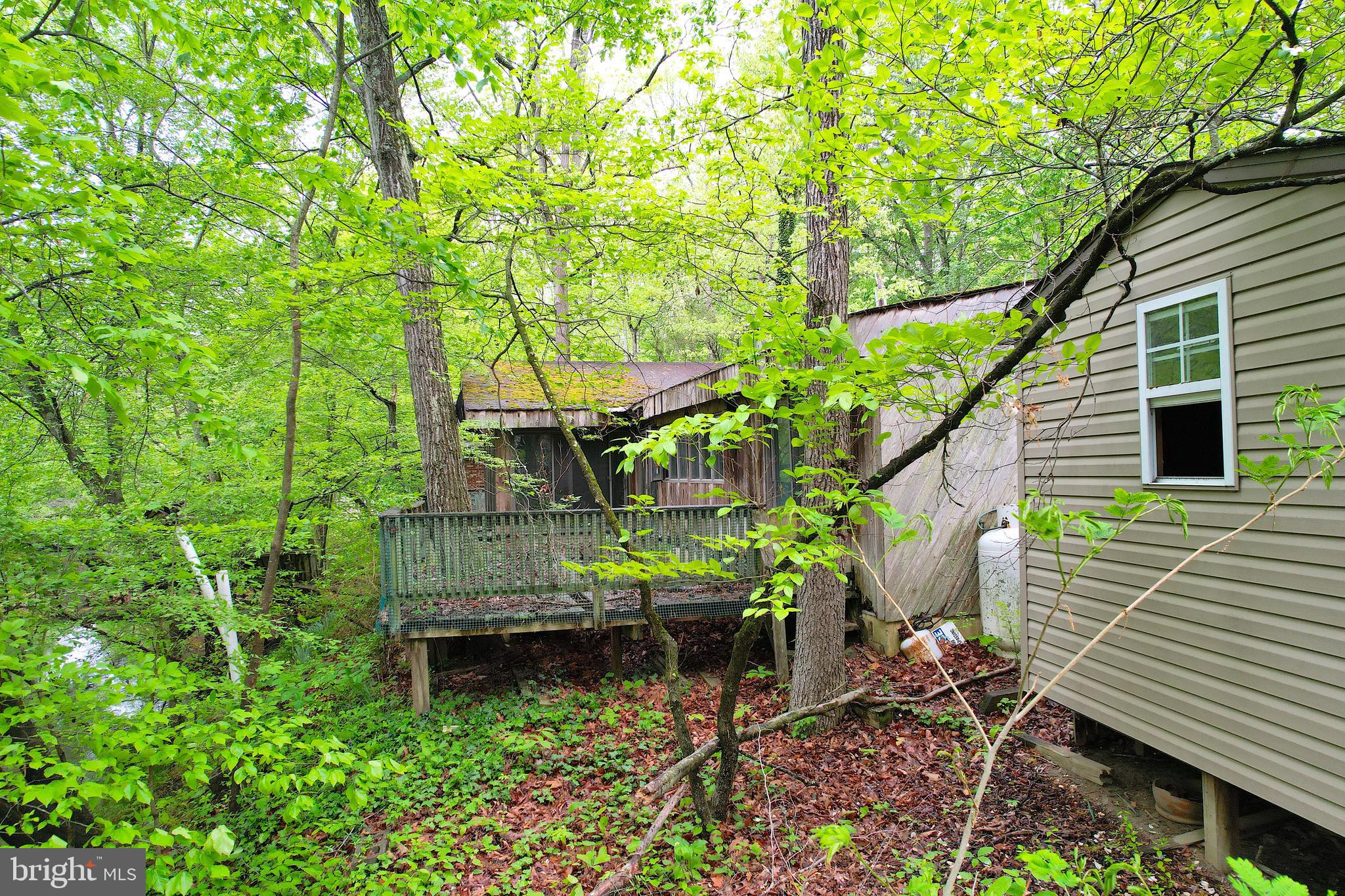 38 NORTH ROAD
