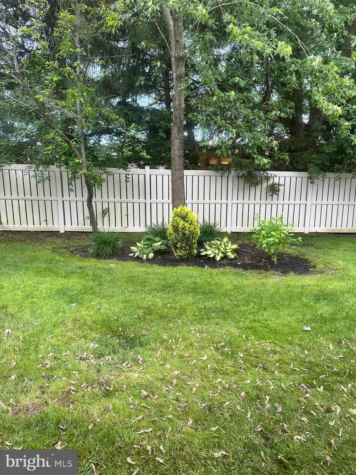 1341 THORNWOOD DRIVE