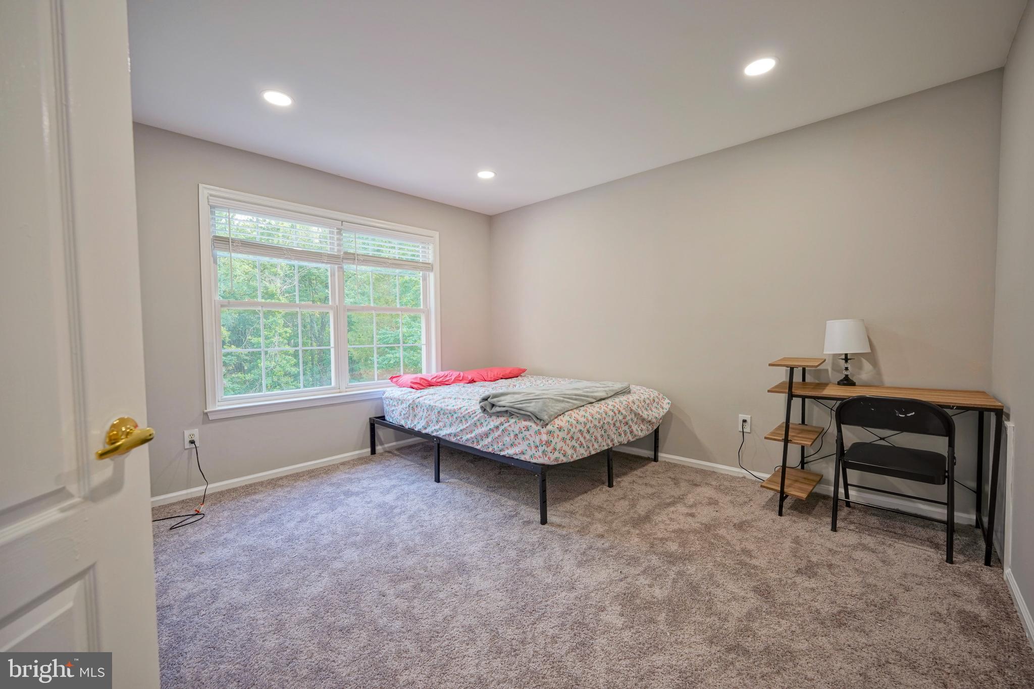 16 PALOMINO DRIVE