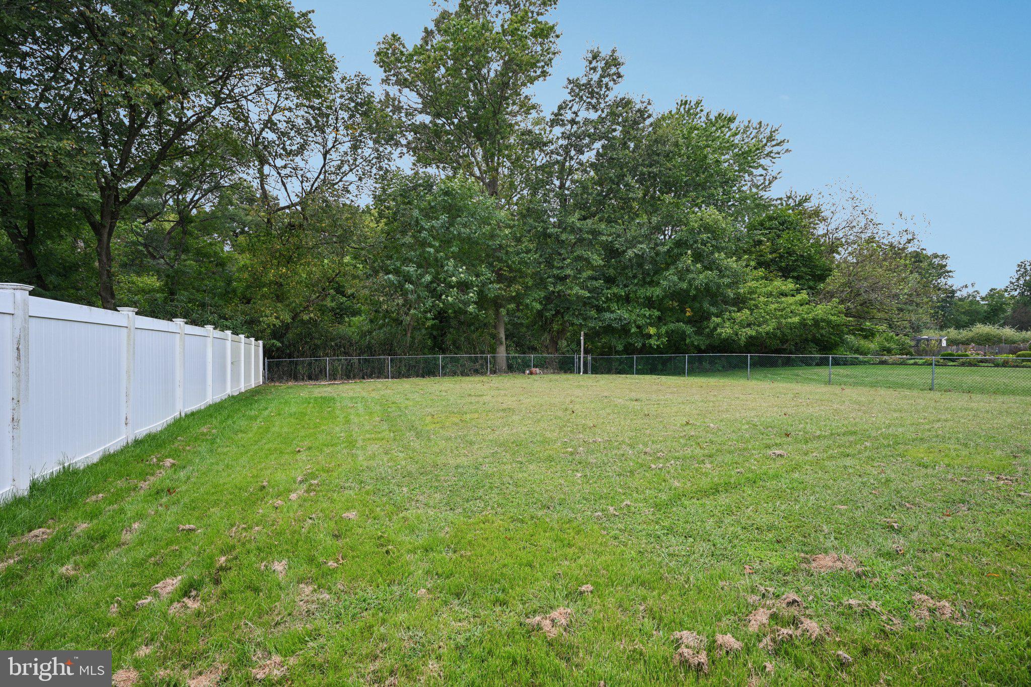 85 CARLTON AVENUE