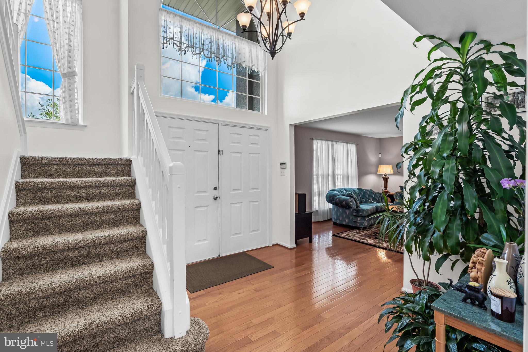 21 OLYMPIA DRIVE