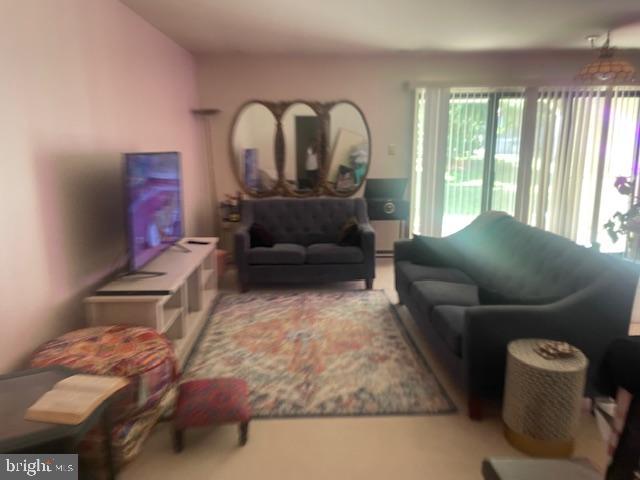81 BRIDGEWATER