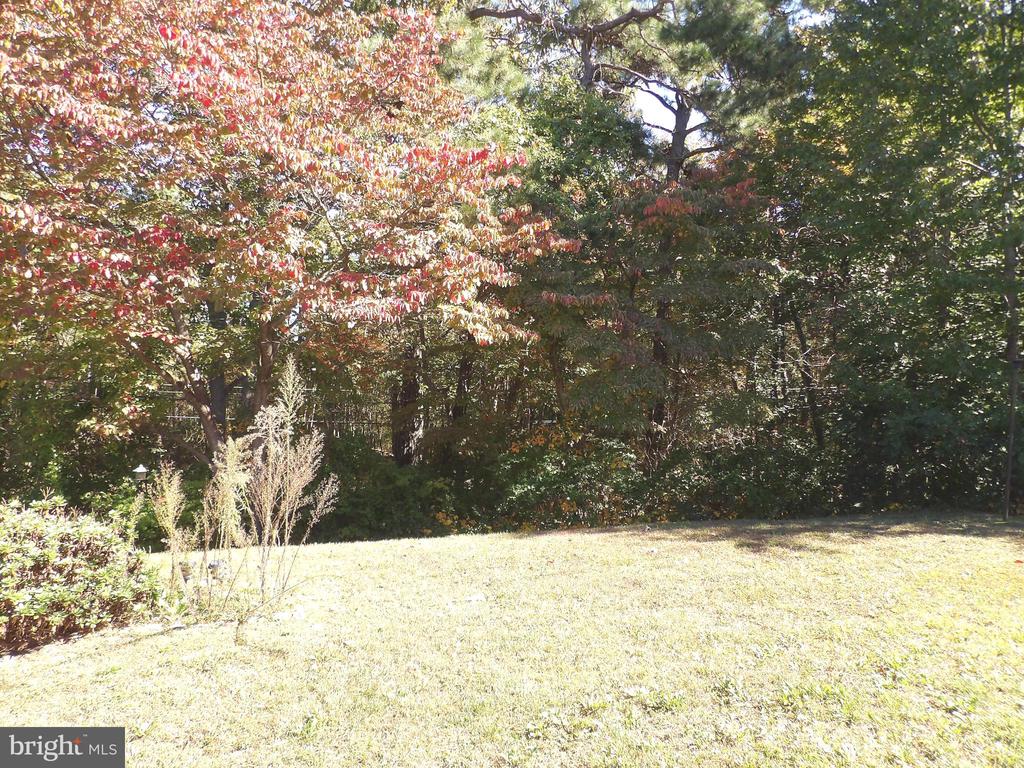 69 BUCKINGHAM DRIVE