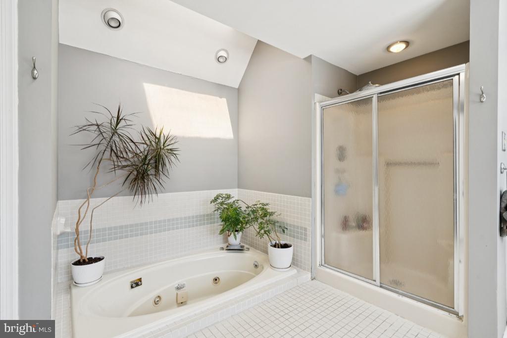24 WHITECHAPEL DRIVE