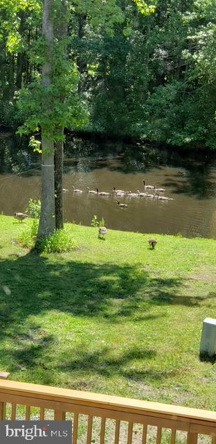 313 BARTON RUN BOULEVARD