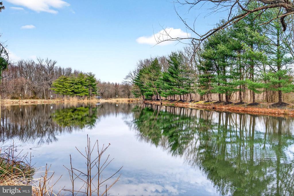 14 WOOD VIEW DRIVE