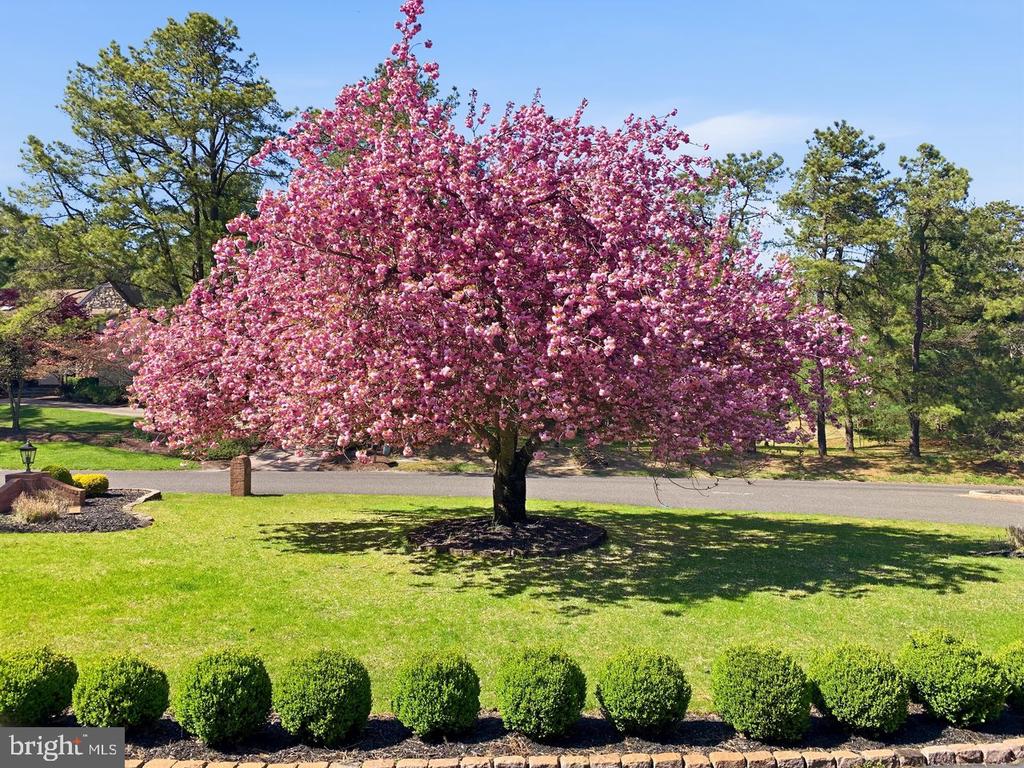 2 TEABERRY DRIVE