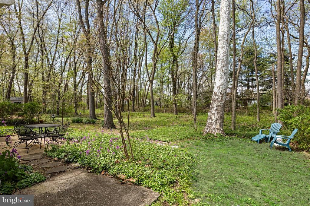 725 CORNWALLIS DRIVE