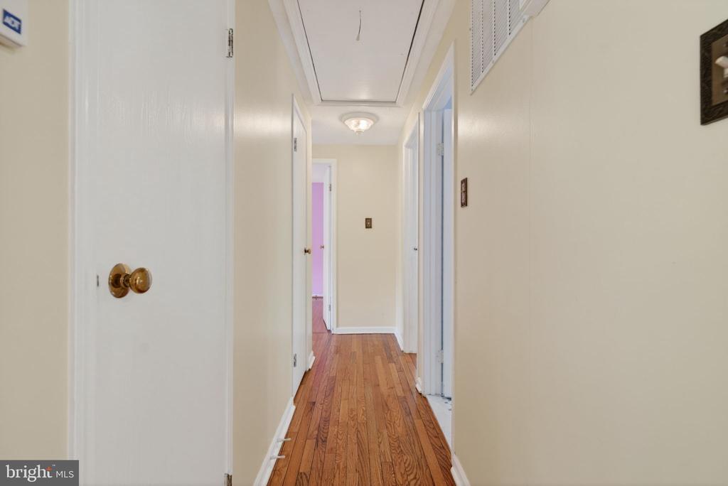 41 PALMETTO AVENUE