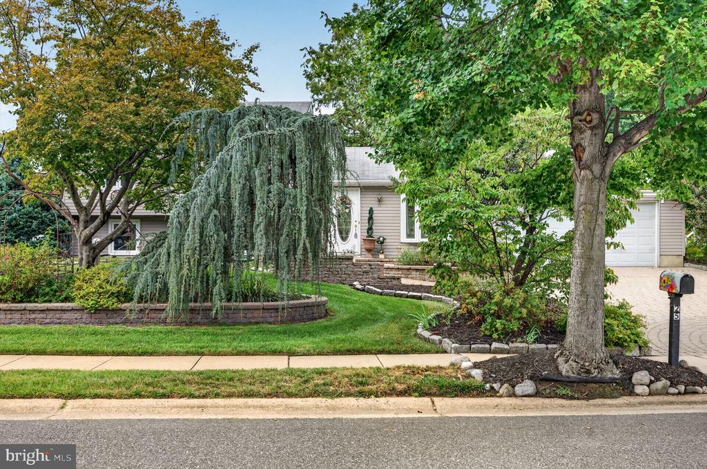 25 BRIGHTON DRIVE