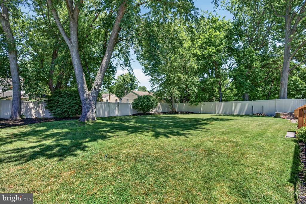 65 MARLBOROUGH AVENUE