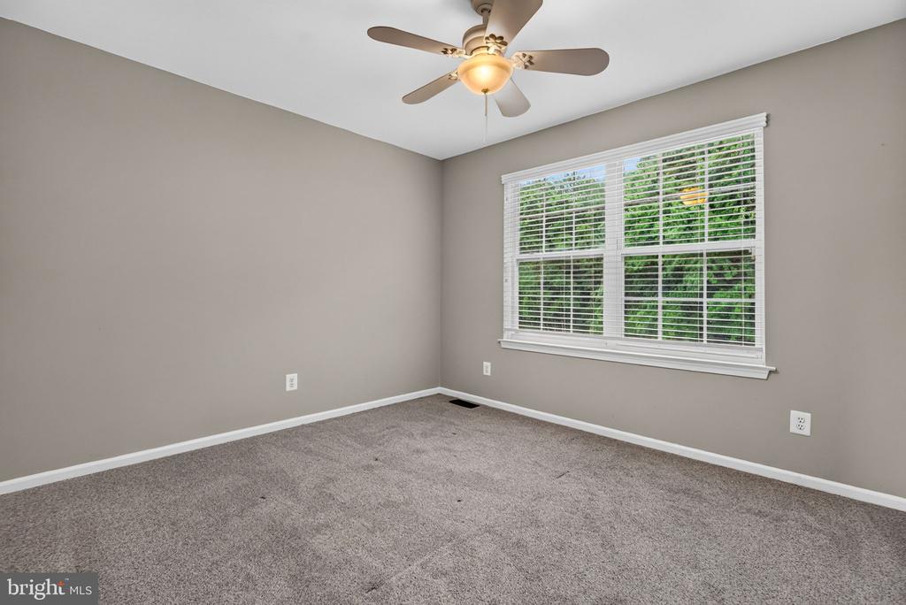 5 ELKINS LANE