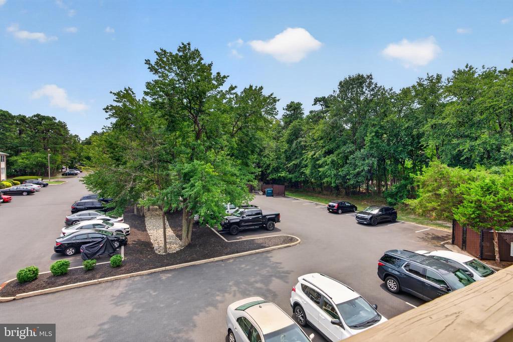 10 TEABERRY COURT