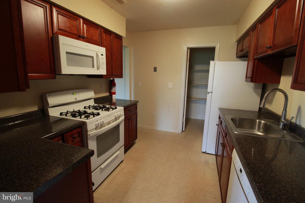 12 CORIANDER DRIVE