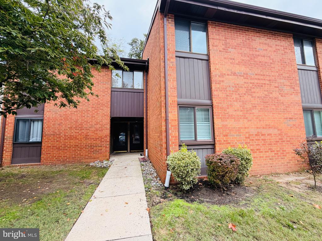 207 KELLY CV