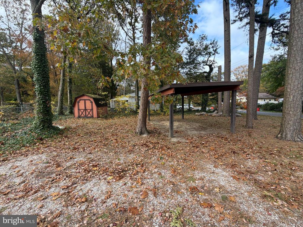 537 DANDELION ROAD