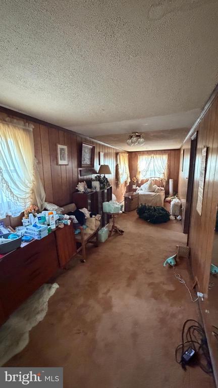 537 DANDELION ROAD