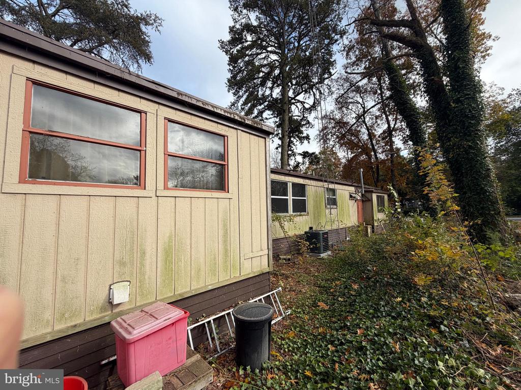 537 DANDELION ROAD